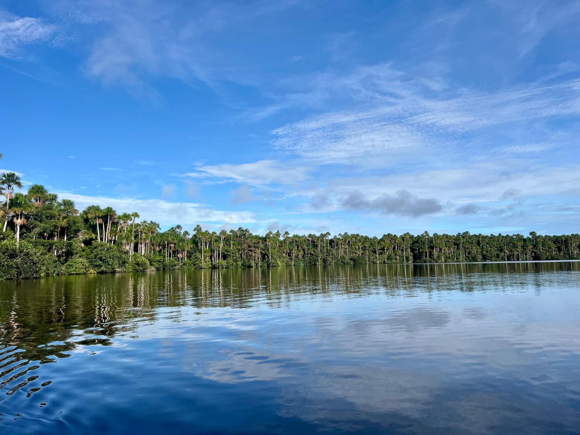 Tronco Tambopata Adventure Hotell Puerto Maldonado Eksteriør bilde