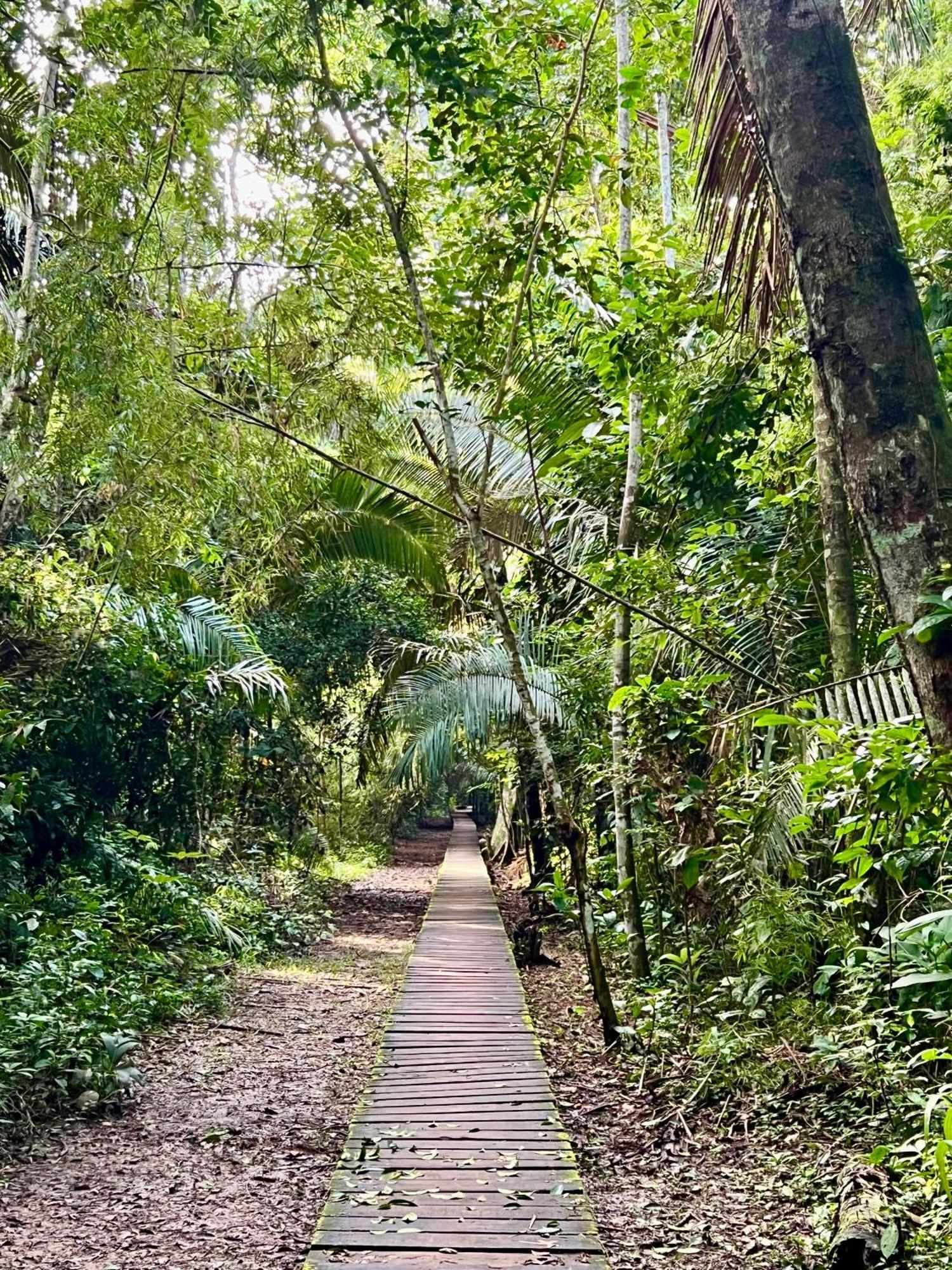 Tronco Tambopata Adventure Hotell Puerto Maldonado Eksteriør bilde