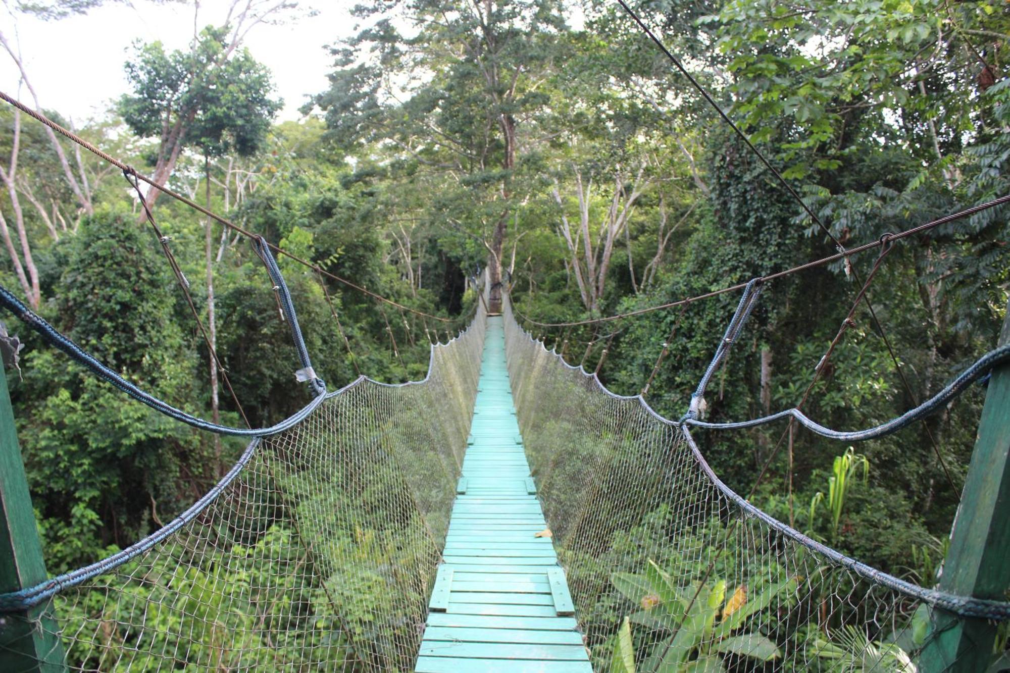 Tronco Tambopata Adventure Hotell Puerto Maldonado Eksteriør bilde