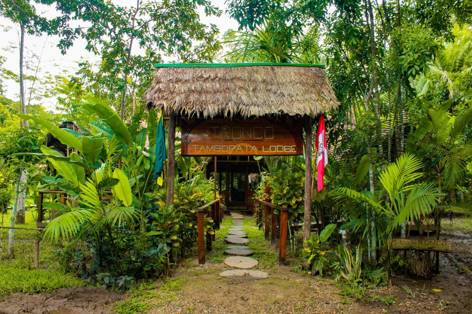 Tronco Tambopata Adventure Hotell Puerto Maldonado Eksteriør bilde