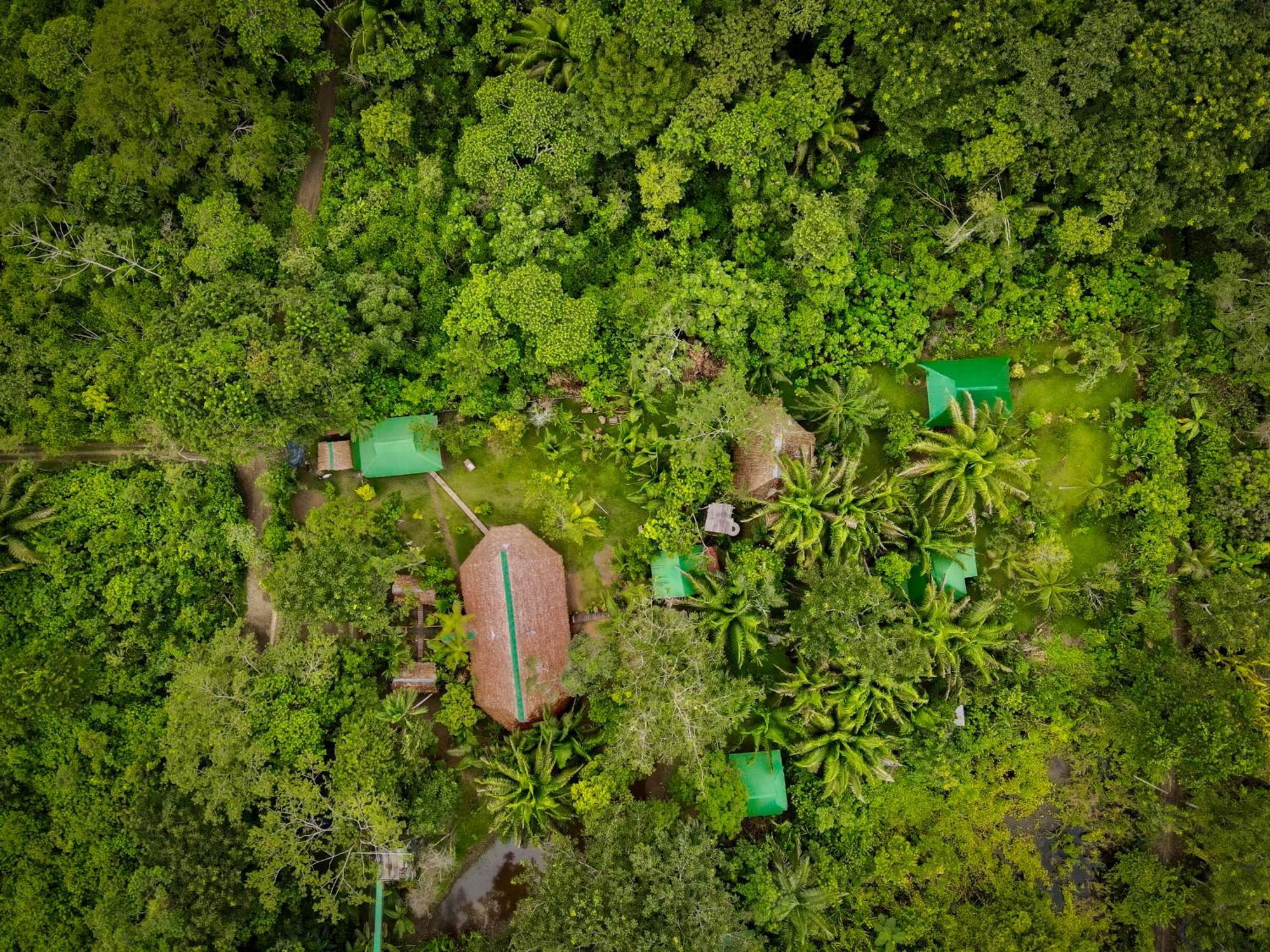 Tronco Tambopata Adventure Hotell Puerto Maldonado Eksteriør bilde