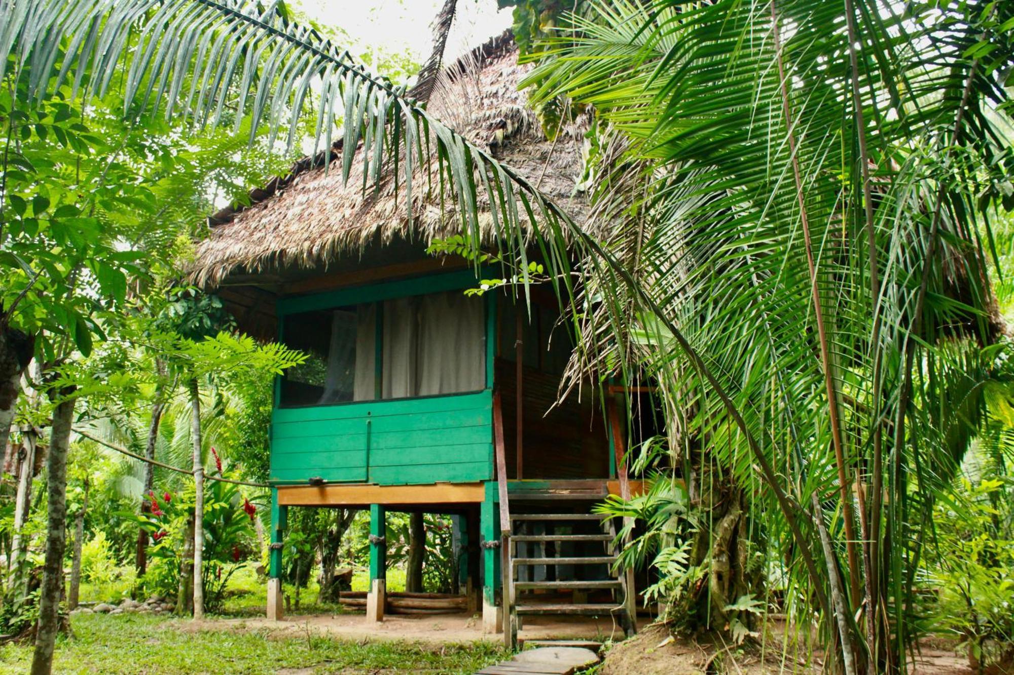 Tronco Tambopata Adventure Hotell Puerto Maldonado Eksteriør bilde
